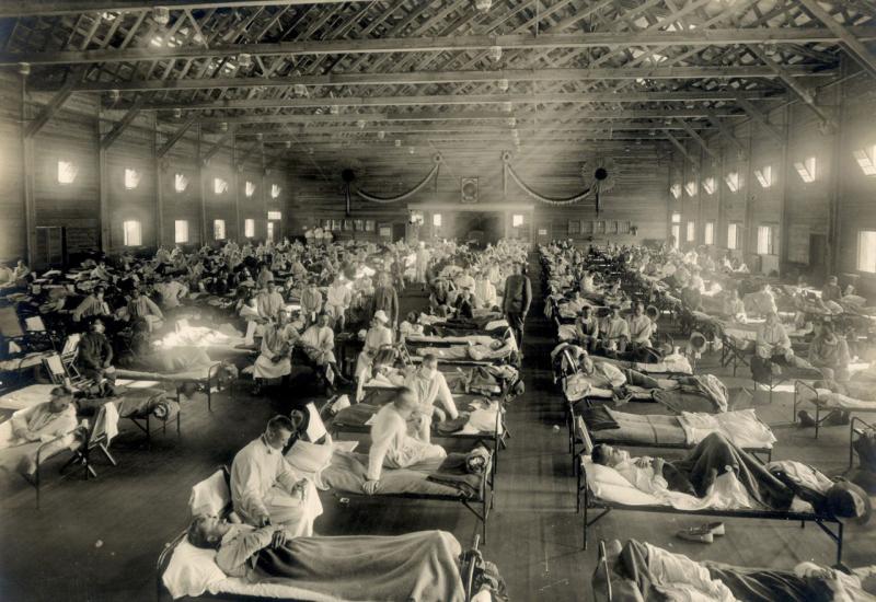 Od Crne smrti do AIDS-a, pandemije su oblikovale ljudsku povijest
