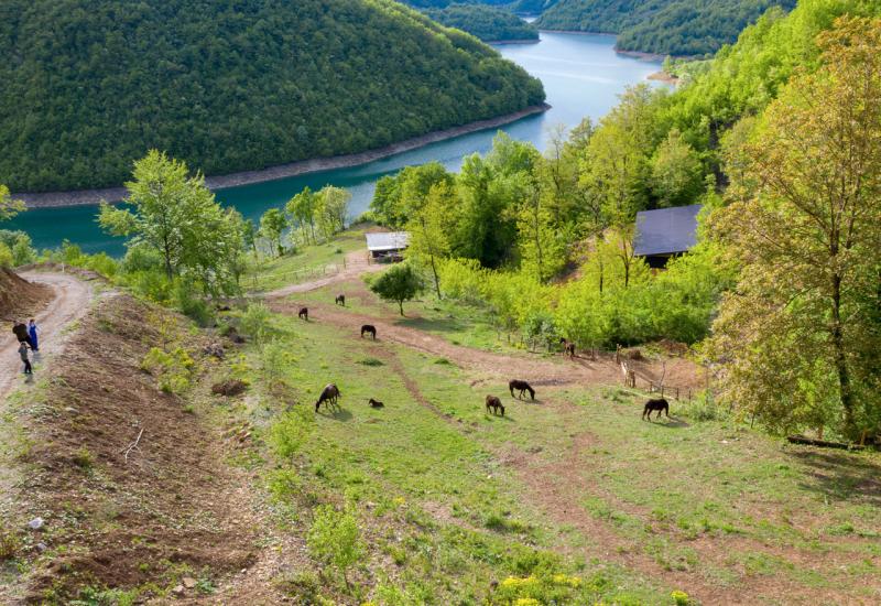 Oaza za očuvanje bosanskog brdskog konja u Lizopercima