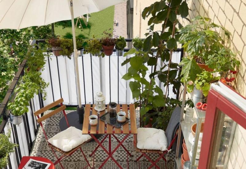 Biljke idealne za vaš skučeni balkon