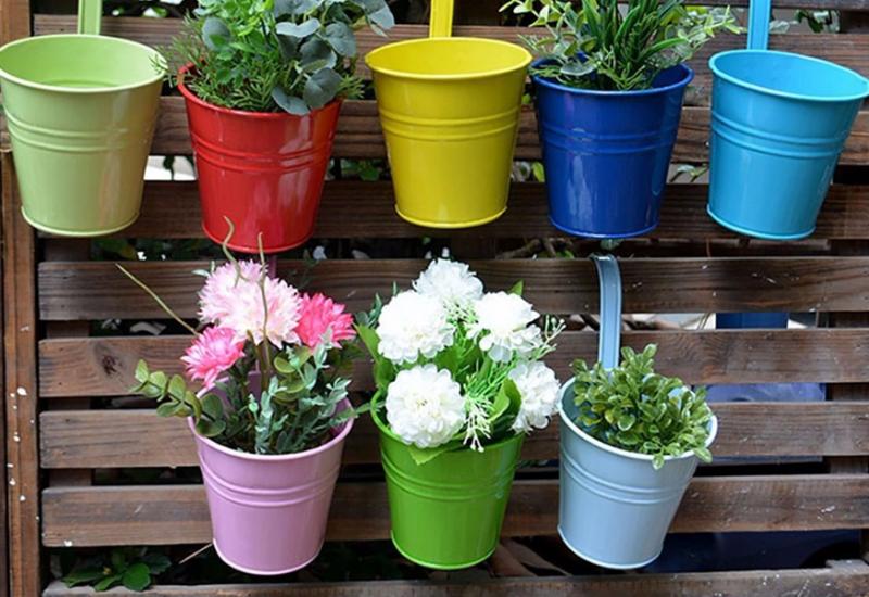 Biljke idealne za vaš skučeni balkon - Biljke idealne za vaš skučeni balkon