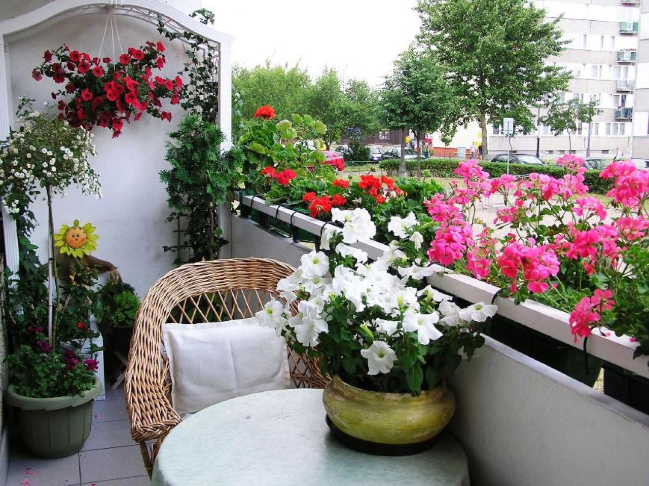 Balcony gardening. Бегония балконная. Петуния балконная. Цветник на балконе. Балкон с цветами.