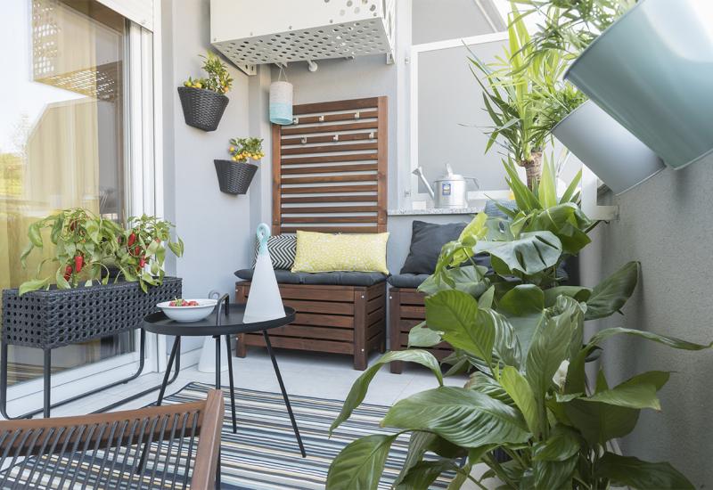 Biljke idealne za vaš skučeni balkon - Biljke idealne za vaš skučeni balkon
