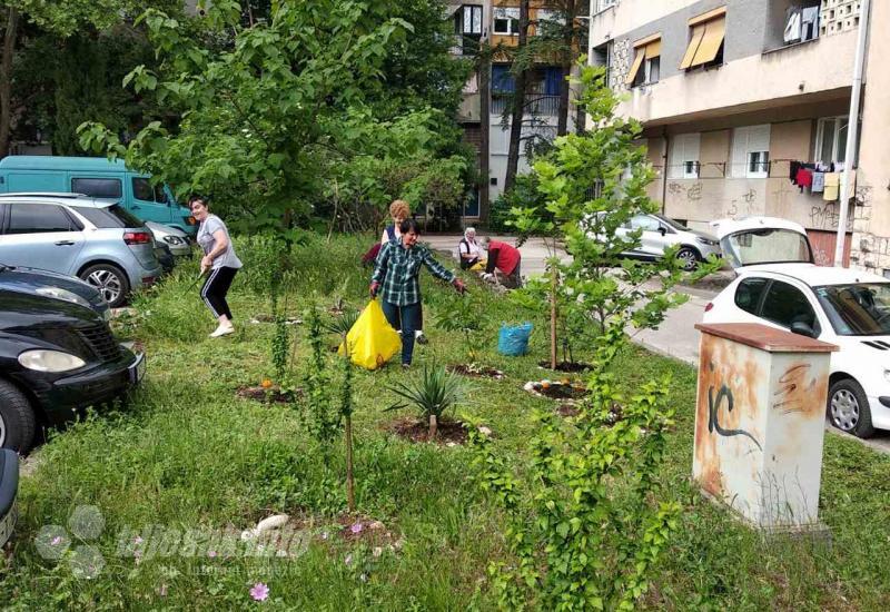Novo cvijeće i drveće: Vrijednih ruku u Mostaru ima