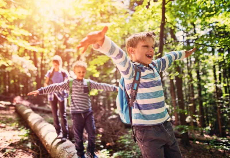 Dječje igre u šumi  - Krenuli prečicom kroz šumu i zalutali