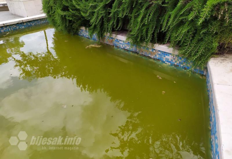 Odraz grada u vodi - Čekaju se donatori za čišćenje još jedne vode u Mostaru?