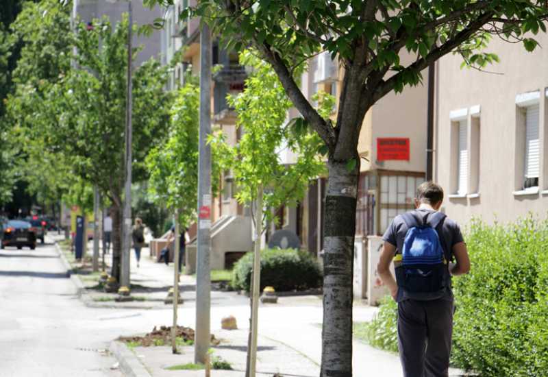 Bljesak.info - Drveće u gradu produžava život!