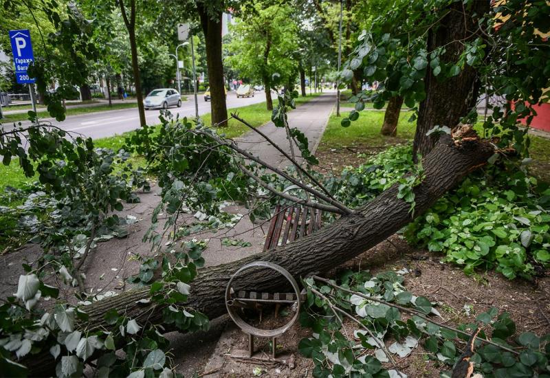 Vjetar obarao stabla po Banja Luci - Nevrijeme pogodilo Banja Luku: Vjetar obarao stabla, oštećeni automobili