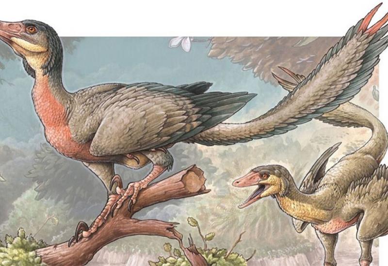 Ilustracija Gabriela Lioa - U Argentini pronađeni ostaci krilatog dinosaura mesoždera