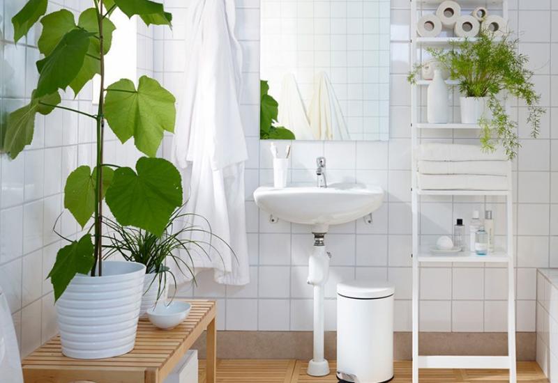Biljke će unijeti svježinu u prostor kupatila - Biljke u kupaonici - odlična ideja  