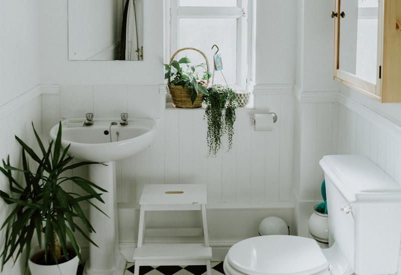 Biljke u kupaonici - odlična ideja  