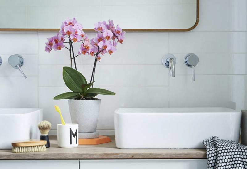 Orhideja će vašoj kupaonici dati pravu dozu elegancije - Biljke u kupaonici - odlična ideja  