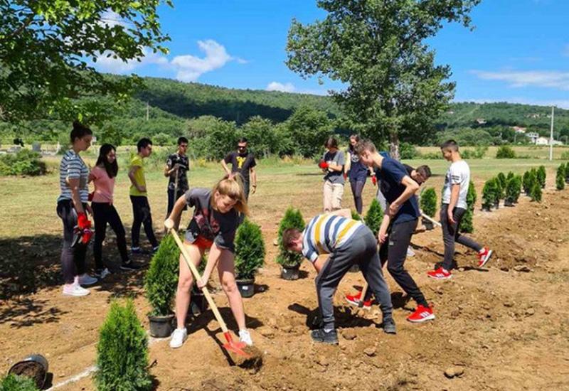Stolački srednjoškolci zasadili 40 sadnica na Radimlji - Stolački srednjoškolci zasadili 40 sadnica na Radimlji