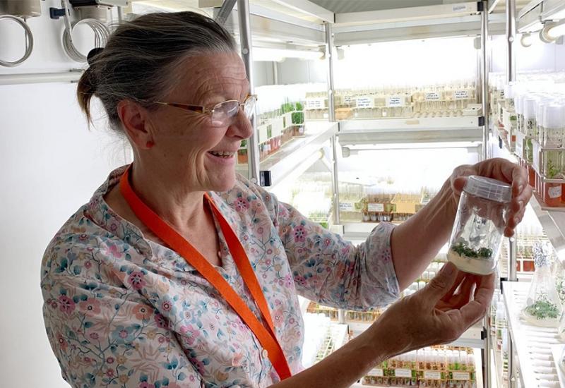 rofesorica Margit Laimer dobila je klonirane ćelije biljaka - Procvjetala biljka stara 32.000 godina