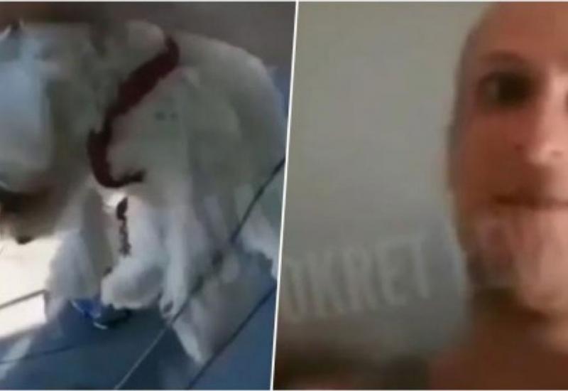 Muškarac iz Tuzle uhićen zbog zlostavljanja psa - Muškarac iz Tuzle uhapšen zbog zlostavljanja psa