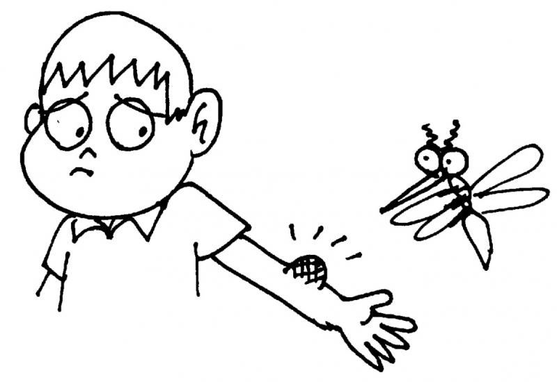 Dosadni komarci - ublažite njihove iritantne ubode