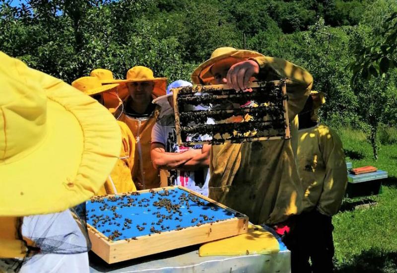  Znanje je ključno za pčelarstvo - Znanje je ključno za pčelarstvo