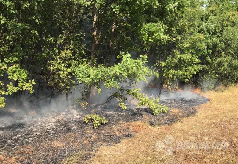 Vatrogasci opet na terenu: Veliki požar na Gubavici