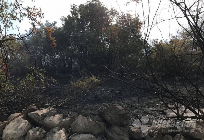Požar na Gubavici - Gubavica: Požar zahvatio i kuću