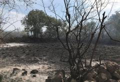Vatrogasci opet na terenu: Veliki požar na Gubavici