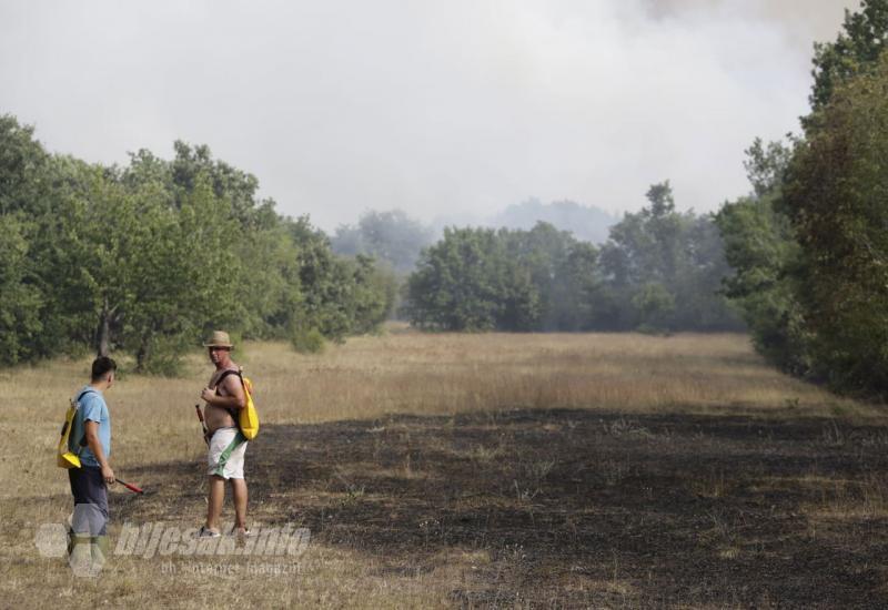 Veliki požar na Gubavici - Vatrogasci opet na terenu: Veliki požar na Gubavici