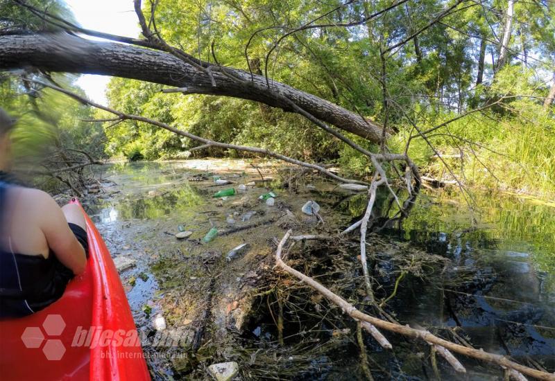 Mladi Čapljinci očistili rijeku Trebižat - Mladi Čapljinci očistili rijeku Trebižat uz poruku 