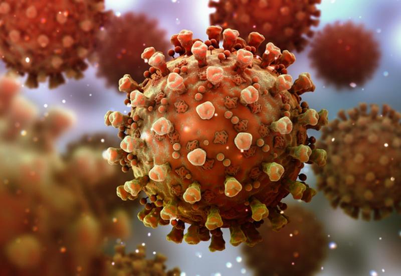 Samo polovica oporavljenih od koronavirusa razvije antitjela