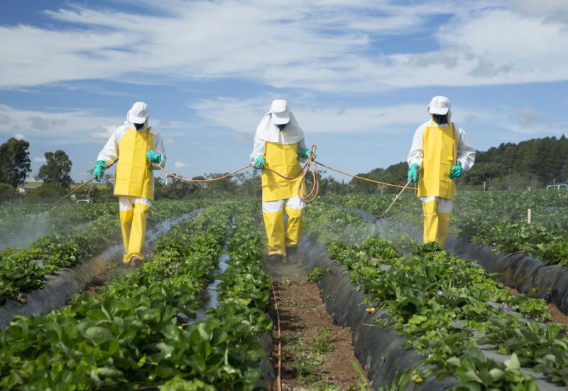Što to jedemo!  Od 184 uzorka hrane samo 3 nisu sadržavala pesticide!