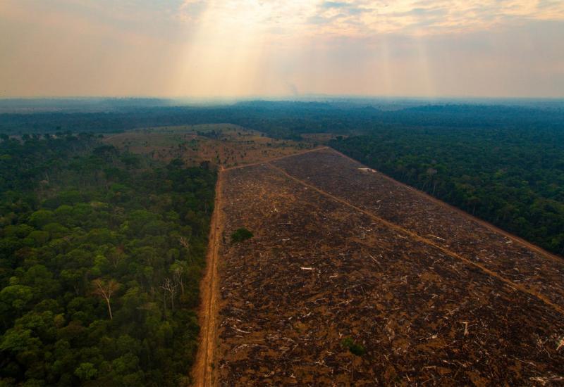 Klimatske promjene izbrisat će Amazonsku prašumu s lica Zemlje do 2064.