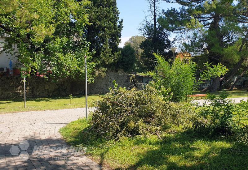 Posljedice nevremena u mostarskom parku - Čekao se radni dan: Radnici uklanjaju granje u Zrinjevcu