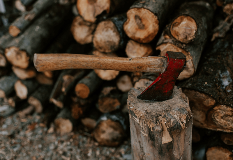 Zabranjen izvoz određenih šumskih sortimenata, ogrjevnog drveta i proizvoda od drveta