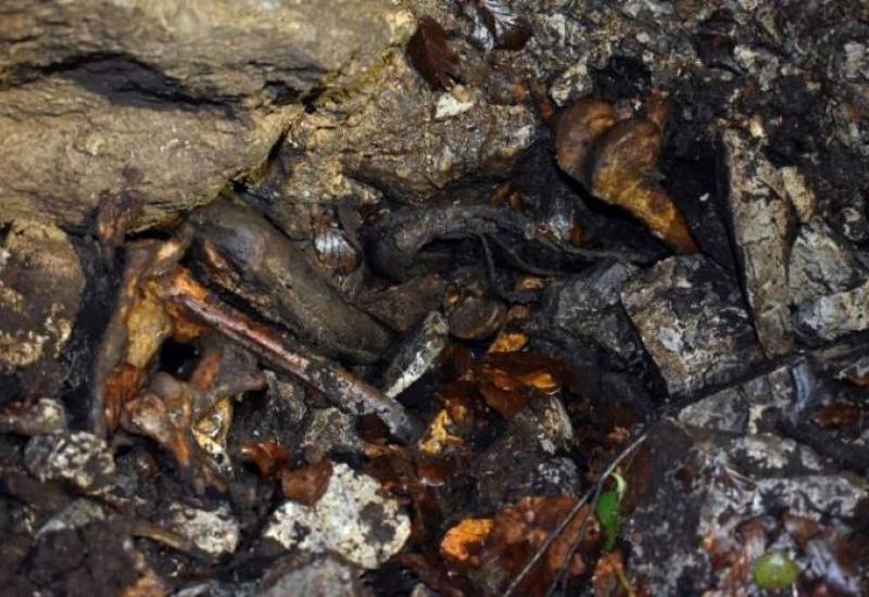 U jednoj jami otkriveni su posmrtni ostaci i njihovi predmeti - Otkrivena masovna grobnica na području Kočevskog roga