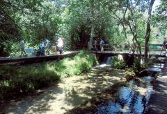 Nacionalni park „Krka“: Gle, jedna duga u vodi se stvara, i sja i dršće u hiljadu šara...