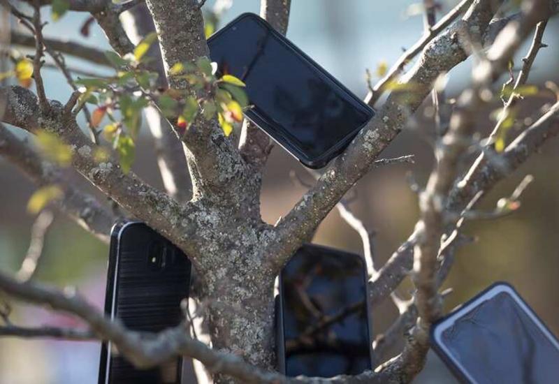 Otkriven misterij pametnih telefona koji vise na stablima