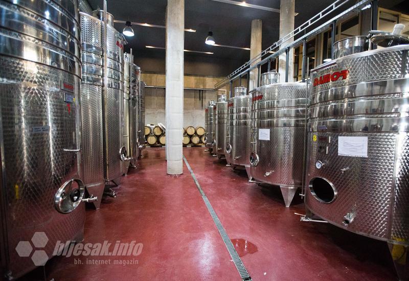 Podrumi u kojima od grožđa nastaje vino - Carski vinogradi berba trganje grožđe vino vinova loza mostar