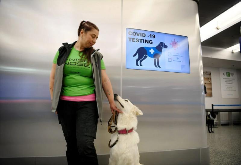 Psi njuše koronavirus u zračnim lukama