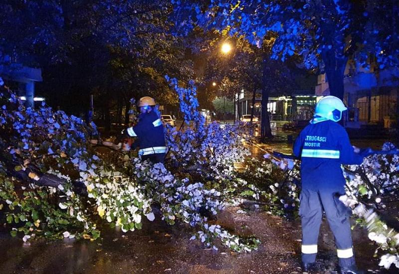 Uklanjanje stabla s prometnice - Vatrogasci u akciji u Ulici Kneza Domagoja