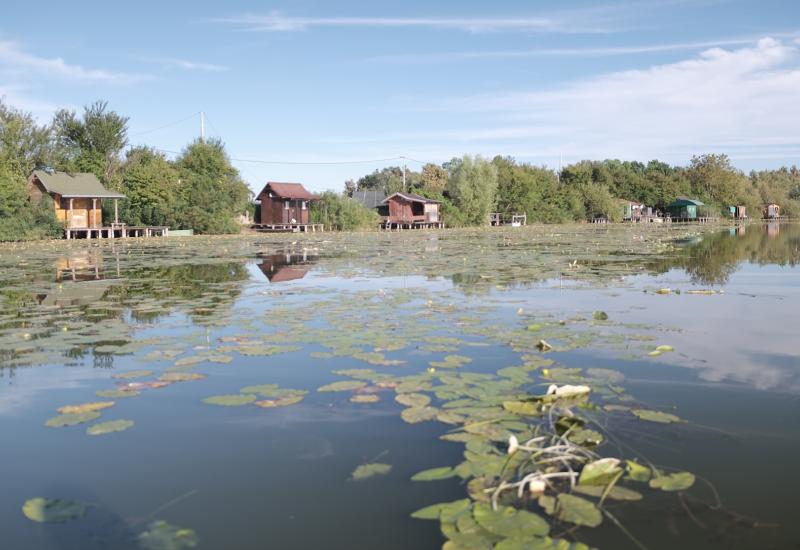 Bardača - Jezero Bardača: Raj koji nestaje zahvaljujući nemarnoj vlasti i privatizaciji 