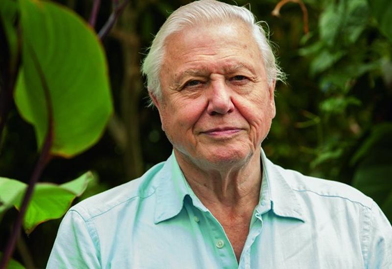David Attenborough - David Attenborough dolaskom na Instagram odmah ostvario jedan rekord