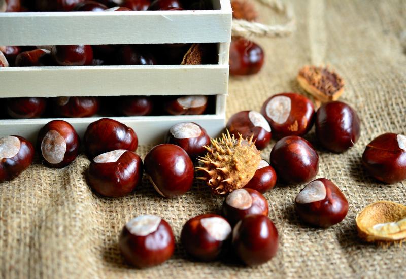 Slatki i ljekoviti simbol jeseni: Kesten smanjuje kolesterol