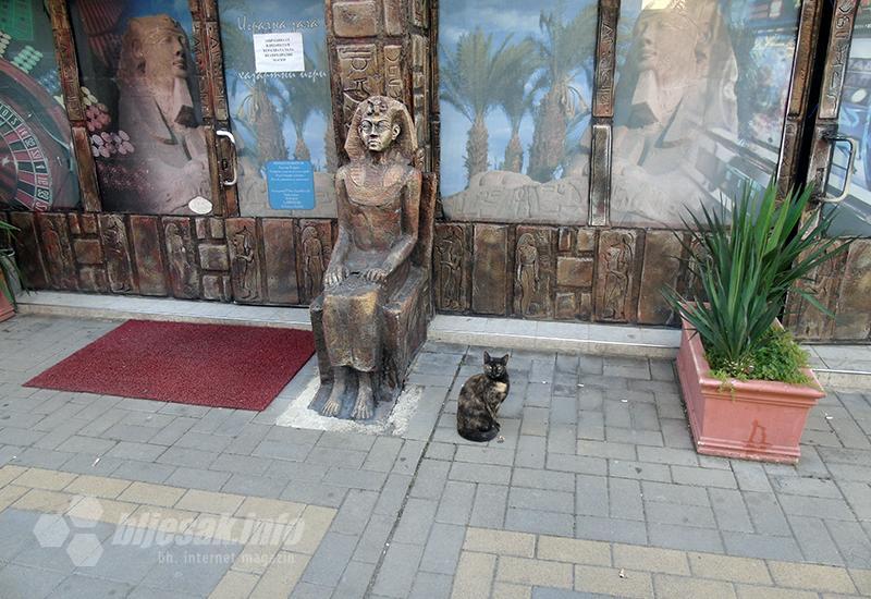 Hatšepsut i njena maca - Kjustendil, gradić mrtvih vojski s najvećim i najstarijim muzejom u Bugarskoj