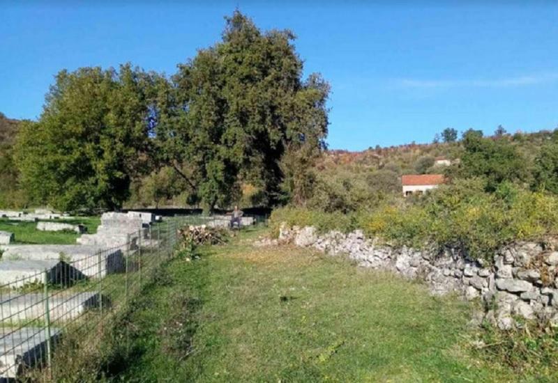 Novootkriveni stećci - Pronađena četiri nova stećka na nekropoli Boljuni-Stolac