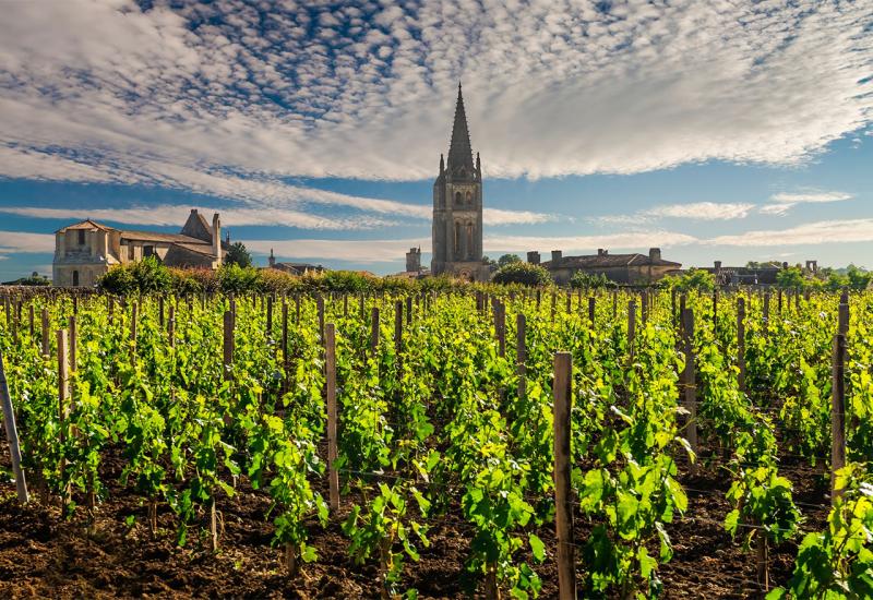 Francuska će ove godine proizvesti 44,7 milijuna hektolitara vina
