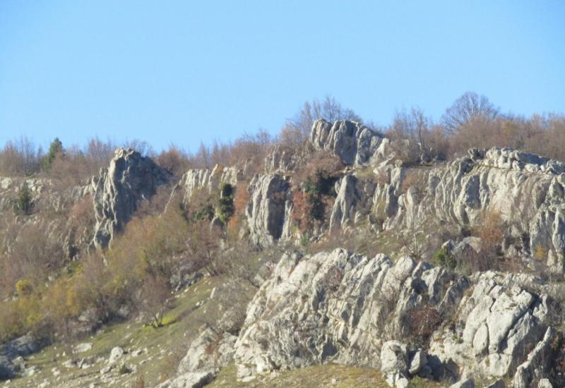 Kamena šuma - Hercegovačka 