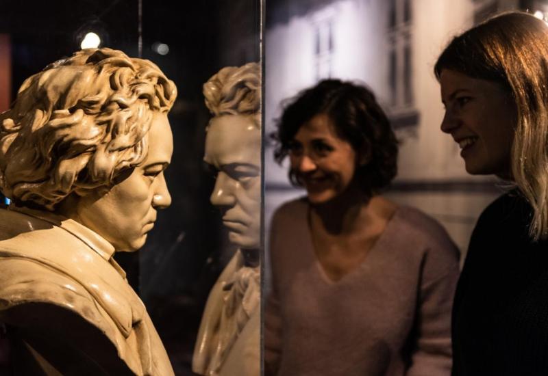 Istraživanja o Beethovenovom životu u Beču