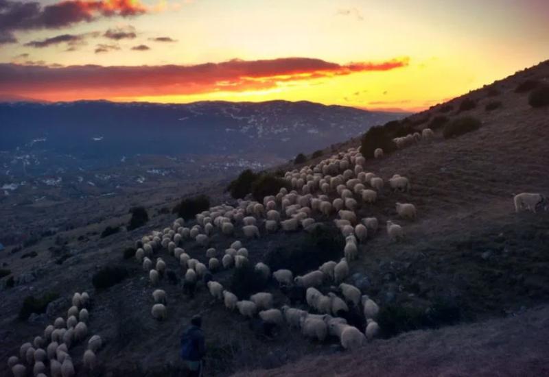 Ramska sušena ovčetina kao specijalitet