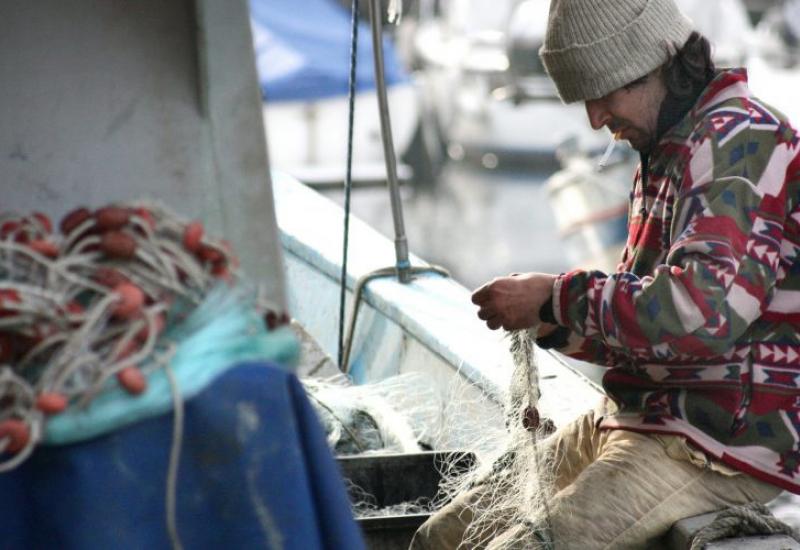 Globalno zagrijavanje: Ulov ribe smanjit će se za 40 posto