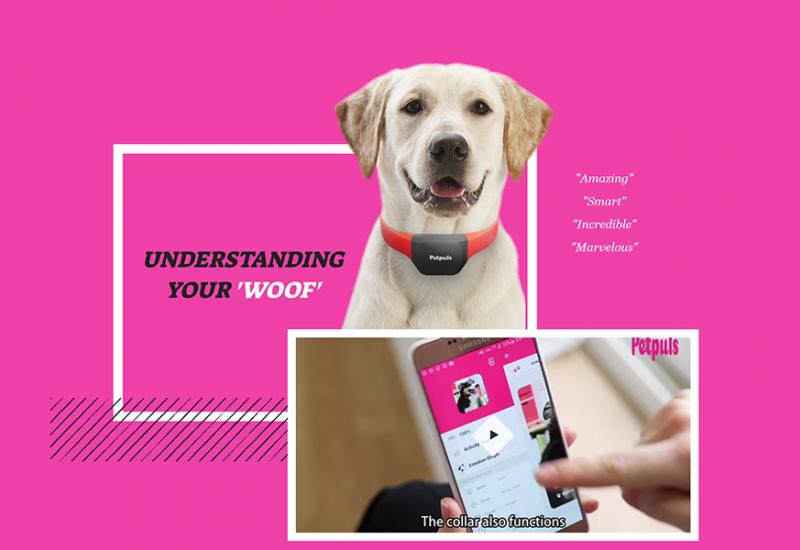 Pseća ogrlica koja uz pomoć umjetne inteligencije čita pseće emocije