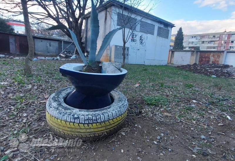 Umjetnička instalacija u Mostaru: Kaktus u WC školjki