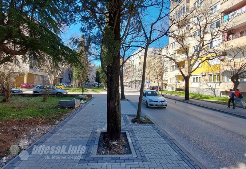 I to smo dočekali: Drvo preživjelo rekonstrukciju u Mostaru