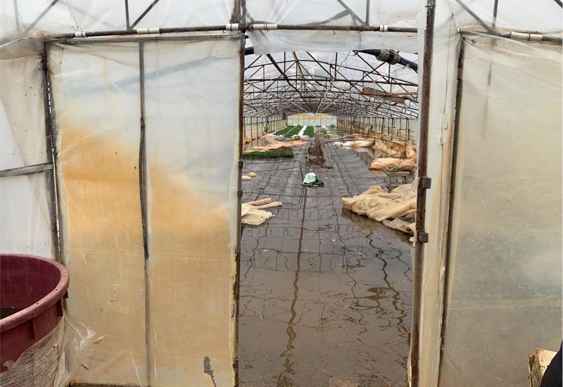 Poplavljene površine - Čapljina: Poljoprivredne površine Svitave ponovno pod vodom, mještani traže pomoć 